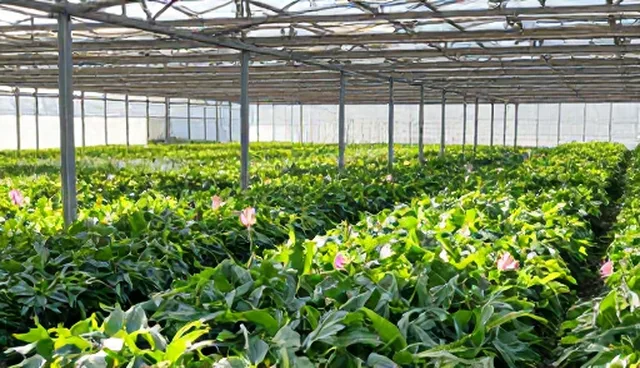 维修服务选型与使用建议:售后维保的关键问题分析